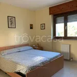 Rent 3 bedroom apartment of 80 m² in Lecce