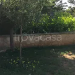 Rent 3 bedroom house of 75 m² in Carovigno