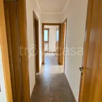 Rent 3 bedroom apartment of 70 m² in Roma