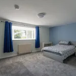 Rent 5 bedroom house in West Devon