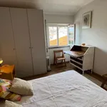 Rent 2 bedroom apartment of 78 m² in lisbon