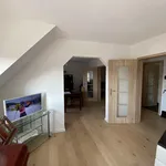 Rent 3 bedroom apartment of 65 m² in Pforzheim