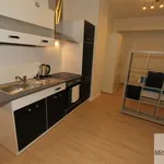 Rent 1 bedroom apartment of 46 m² in Nuremberg