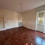 Rent 3 bedroom apartment of 75 m² in Torino