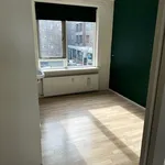 Huur 3 slaapkamer appartement van 50 m² in Rotterdam