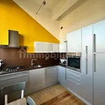 Rent 4 bedroom apartment of 97 m² in Turin