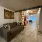 Rent 2 bedroom apartment of 50 m² in Turin