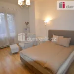 Rent 1 bedroom apartment of 30 m² in Prague