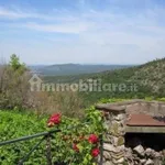 Rent 4 bedroom house of 140 m² in Capalbio