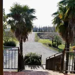 Rent 11 bedroom house of 300 m² in Ponte di Piave