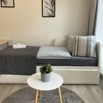 Rent 1 bedroom apartment of 14 m² in Prague