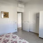 Rent 3 bedroom apartment of 95 m² in Pisa