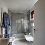 Rent 1 bedroom apartment of 70 m² in Vicenza