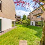Rent 6 bedroom apartment in Padua