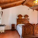 Rent 2 bedroom apartment of 90 m² in Bertinoro