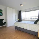 Rent 4 bedroom apartment in The Hague