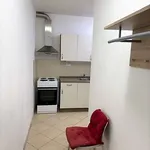 Rent 1 bedroom apartment of 20 m² in Brno