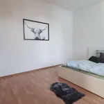 Rent a room in berlin