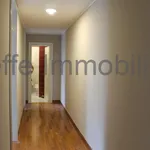 Rent 2 bedroom apartment of 85 m² in padova