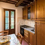 Rent 3 bedroom apartment of 58 m² in Lucca