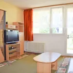 Rent 4 bedroom apartment of 78 m² in Plzeň