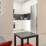 Rent 1 bedroom apartment in madrid