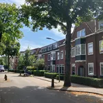 Rent 3 bedroom apartment of 65 m² in dordrecht