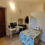 Rent 1 bedroom apartment of 30 m² in Turin