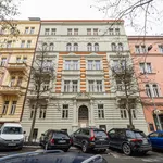 Rent 1 bedroom apartment of 49 m² in Prague