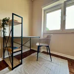 Rent 5 bedroom apartment in Coimbra