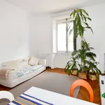 Rent 3 bedroom apartment of 80 m² in Milano