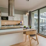 Rent 1 bedroom apartment of 39 m² in Dresden