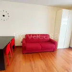 Rent 1 bedroom apartment of 40 m² in Roma