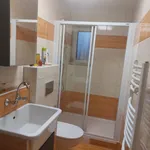 Studio o rozloze 45 m² v Prague