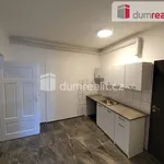 Rent 2 bedroom apartment of 47 m² in Plzeň