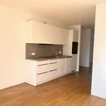 Rent 2 bedroom apartment of 49 m² in Graz