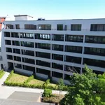 Rent 3 bedroom apartment of 102 m² in Leipzig