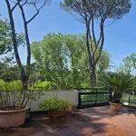 Rent 5 bedroom apartment of 300 m² in Roma