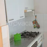 Rent 4 bedroom apartment of 90 m² in Ancona