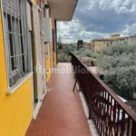 Rent 4 bedroom apartment of 120 m² in Rome