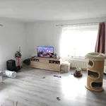 Rent 1 bedroom apartment in Rychnov nad Kněžnou