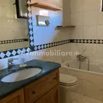 Rent 3 bedroom apartment of 65 m² in Massa