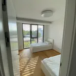 Rent 3 bedroom apartment of 92 m² in Frankfurt am Main