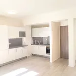 Rent 1 bedroom apartment of 42 m² in Brno