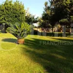 Rent 4 bedroom house of 300 m² in Mesagne