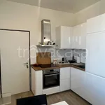 Rent 2 bedroom apartment of 45 m² in Milano