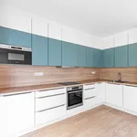 Rent 3 bedroom apartment of 135 m² in Prague