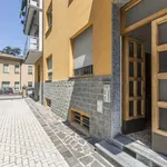 Rent a room in bologna