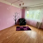 Rent 2 bedroom apartment of 55 m² in Miskolc