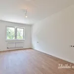 Pronájem rodinného domu 4+1, Na Kaolínce, Horní Bříza, 145 m2